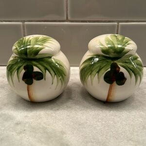 Ceramic Salt and Pepper shakers